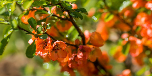 Similar image 22439391