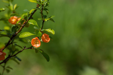 Similar image 22439393