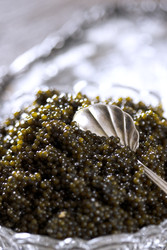 Similar image 22442454