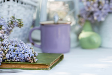 Similar image 22439407