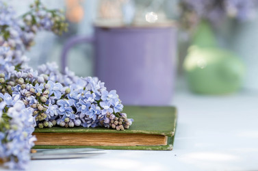 Similar image 22439413