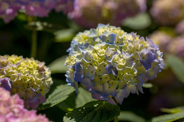 Similar image 22439416