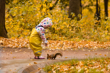 Similar image 22439420