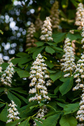 Similar image 22439422