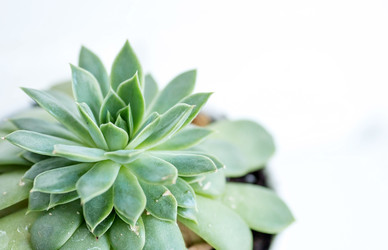 Similar image 22439423