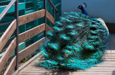 Similar image 22439426