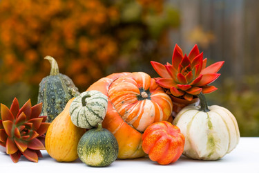 Similar image 22439428