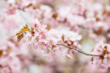 Similar image 22439431