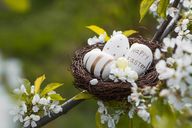 Similar image 22439441