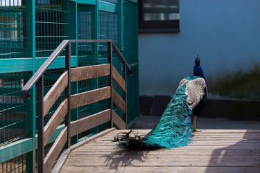 Similar image 22439445