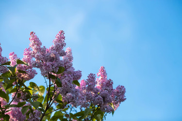 Similar image 22439446