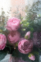 Similar image 22439455