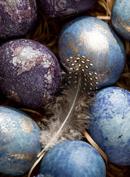 Similar image 22439456