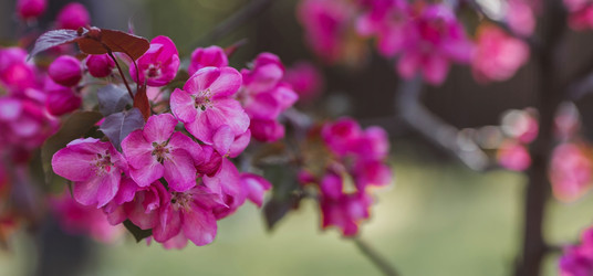 Similar image 22439457