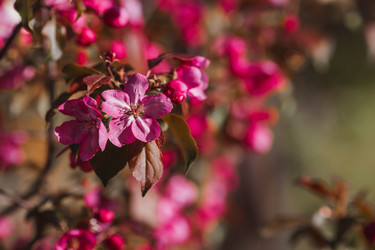 Similar image 22439469