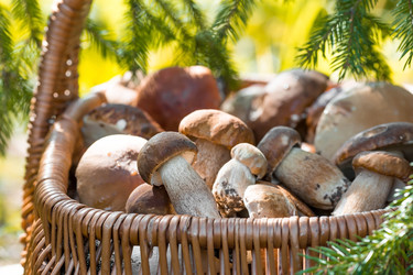 Similar image 22439480