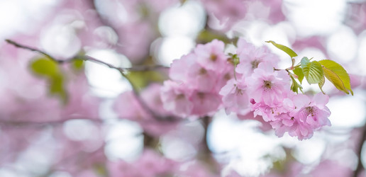 Similar image 22439481