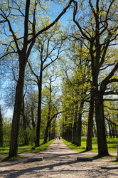 Similar image 22435234