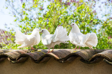 Similar image 22435236