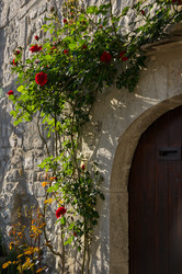 Similar image 22435242