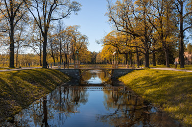 Similar image 22435247