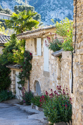 Similar image 22435248