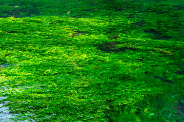 Similar image 22435251