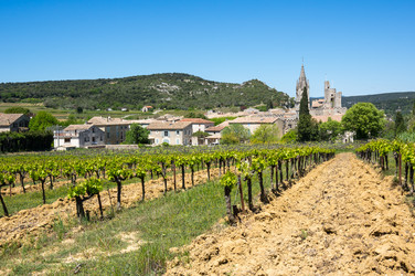 Similar image 22435254