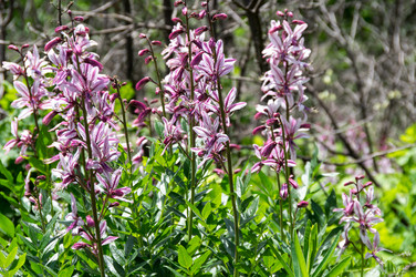 Similar image 22435264