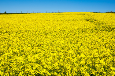 Similar image 22435268