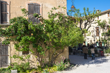 Similar image 22435274