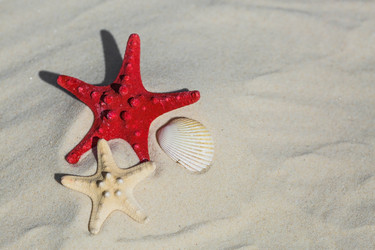 Similar image 22439487