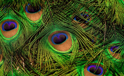 Similar image 22439496