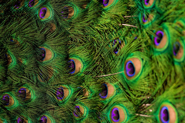 Similar image 22439501