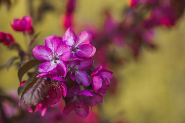 Similar image 22439502