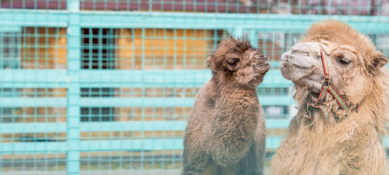 Similar image 22439506