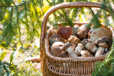 Similar image 22439512