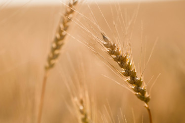 Similar image 22439521