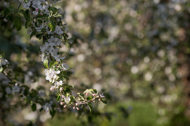 Similar image 22439522