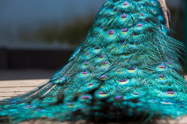 Similar image 22439523