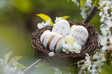 Similar image 22439527