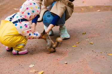 Similar image 22439528