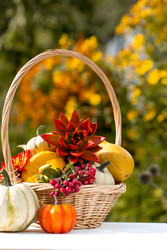 Similar image 22439535