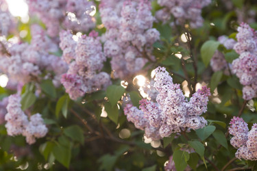 Similar image 22439540