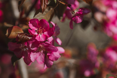 Similar image 22439549