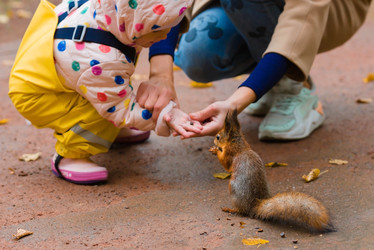 Similar image 22439554