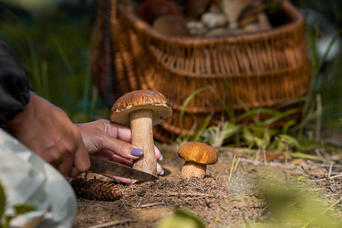 Similar image 22439557