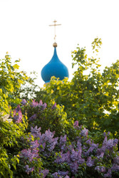 Similar image 22439558