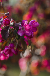 Similar image 22439564