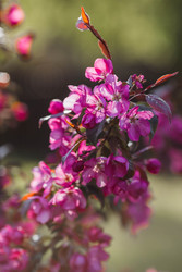 Similar image 22439569